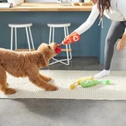 Frisco New Year, New Me Juice Cleanse Plush Squeaky Dog Toy -Frisco 288929 PT3. AC SS1800 V1638289348