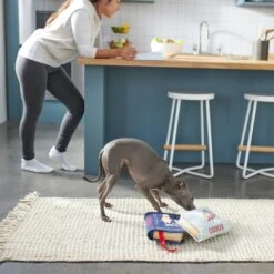 Frisco Cookbooks Plush Squeaky Dog Toy, 2 Count 7 Frisco Cookbooks Plush Squeaky Dog Toy, 2 Count -Frisco 288937 PT3. AC SS1800 V1638287852