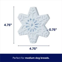 Frisco Holiday Nylon Snowflake Dog Chew Toy, Peanut Butter Flavor, Medium -Frisco 291387 PT1. AC SS1800 V1695046039