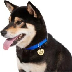 Frisco Brass Personalized Dog & Cat ID Tag, Heart -Frisco 296197 PT6. AC SS1800 V1628186493