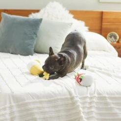 Frisco Brunch Bottomless Mimosas Plush Squeaky Dog Toy, 2 Count -Frisco 297226 PT2. AC SS1800 V1642088368