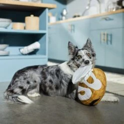 Frisco Brunch Cinnamon Roll Jumbo Plush Squeaky Dog Toy 7 Frisco Brunch Cinnamon Roll Jumbo Plush Squeaky Dog Toy -Frisco 297260 PT2. AC SS1800 V1642089012