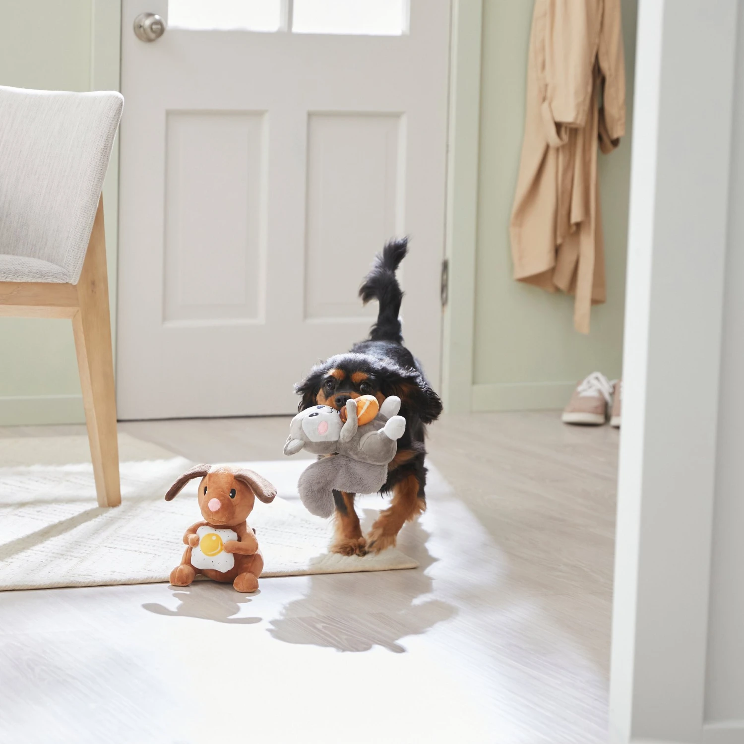 Frisco Brunch Flying Breakfast Critters Plush Squeaky Dog Toy 5 Frisco Brunch Flying Breakfast Critters Plush Squeaky Dog Toy - Image 3