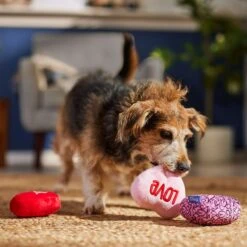 Frisco Valentine Hearts Plush Squeaky Dog Toy 8 Frisco Valentine Hearts Plush Squeaky Dog Toy -Frisco 298919 PT3. AC SS1800 V1701365170