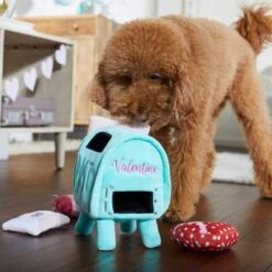 Frisco Valentine Love Letters Hide & Seek Puzzle Plush Squeaky Dog Toy -Frisco 298929 PT3. AC SS1800 V1638987486