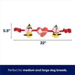 Frisco Valentine Bee Mine Plush With Rope Squeaky Dog Toy -Frisco 298937 PT1. AC SS1800 V1701365189
