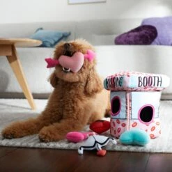 Frisco Valentine Kissing Booth Hide & Seek Puzzle Plush Squeaky Dog Toy -Frisco 298943 PT3. AC SS1800 V1638987417