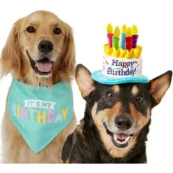 Frisco Dog & Cat Birthday Bandana & Frisco Birthday Cake Dog & Cat Hat 13 Frisco Dog & Cat Birthday Bandana & Frisco Birthday Cake Dog & Cat Hat -Frisco 302374 PT2. AC SS1800 V1633061815