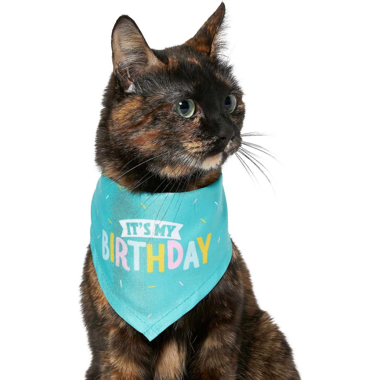 Frisco Dog & Cat Birthday Bandana & Frisco Birthday Cake Dog & Cat Hat 6 Frisco Dog & Cat Birthday Bandana & Frisco Birthday Cake Dog & Cat Hat - Image 4