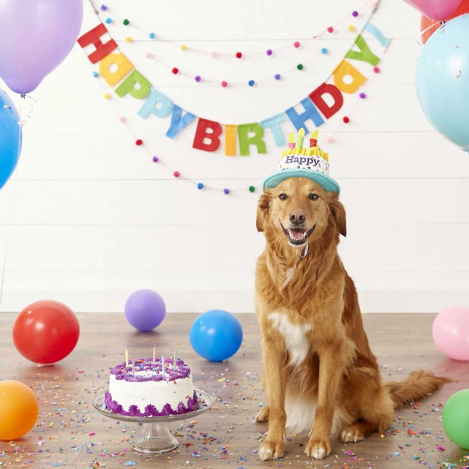 Frisco Dog & Cat Birthday Bandana & Frisco Birthday Cake Dog & Cat Hat 9 Frisco Dog & Cat Birthday Bandana & Frisco Birthday Cake Dog & Cat Hat - Image 7