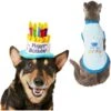 Frisco Birthday Cake Dog & Cat Hat & Frisco It's My Birthday & Cat T-Shirt -Frisco 302392 MAIN. AC SS1800 V1623079046