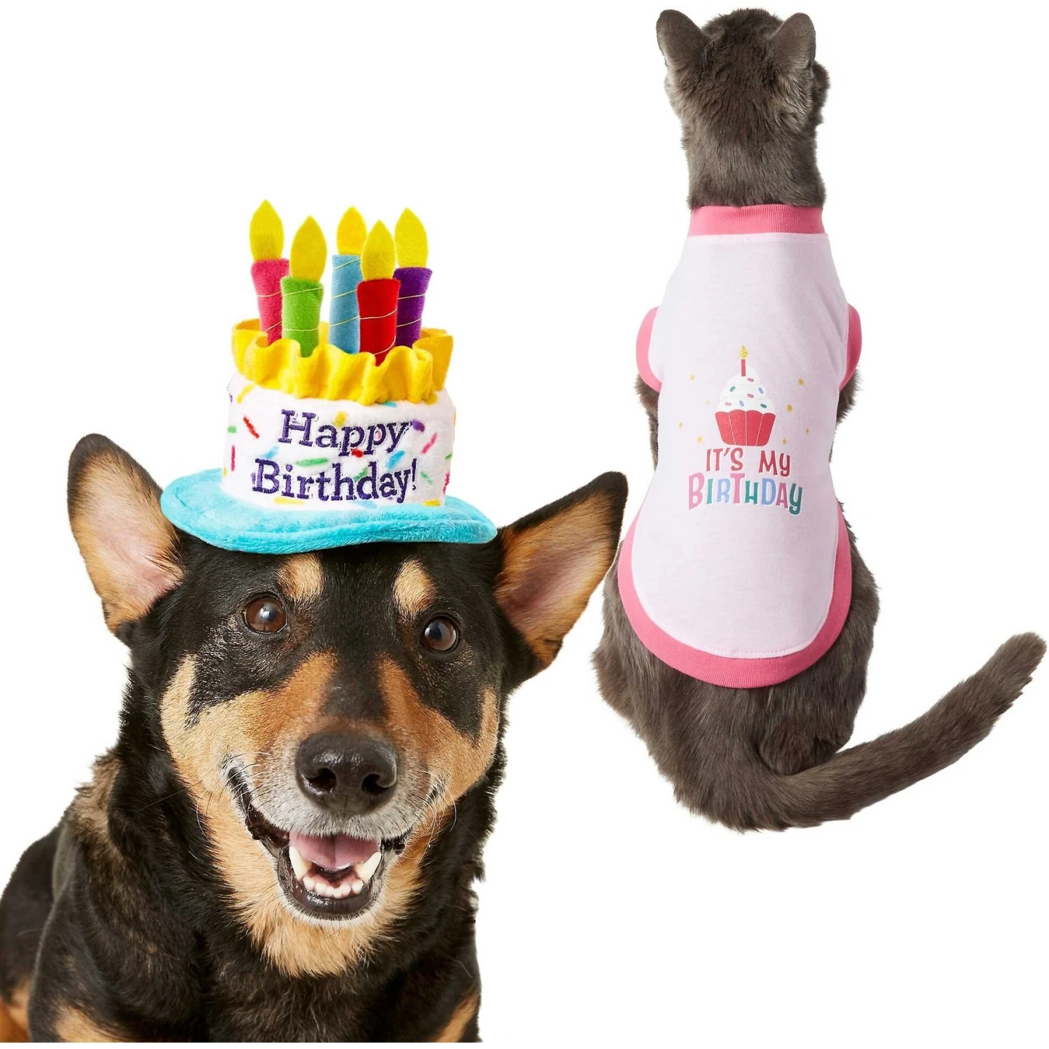 Frisco Birthday Cake Dog & Cat Hat & Frisco It's My Birthday Dog & Cat T-Shirt, Pink 3 Frisco Birthday Cake Dog & Cat Hat & Frisco It's My Birthday Dog & Cat T-Shirt, Pink