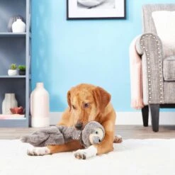 Frisco Giraffe Bungee Plush Squeaky Dog Toy & Frisco Sloth Bungee Plush Squeaky Dog Toy -Frisco 302402 PT8. AC SS1800 V1623091941
