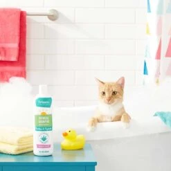 Frisco Aloe Hydrating Dog & Cat Spray, Sweet Nectar Scent & Frisco Oatmeal Dog & Cat Shampoo, Almond Scent -Frisco 303372 PT8. AC SS1800 V1623070966