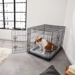 Frisco Fold & Carry Double Door Collapsible Wire Dog Crate & Mat Kit & Frisco Stainless Steel Bowl 14 Frisco Fold & Carry Double Door Collapsible Wire Dog Crate & Mat Kit & Frisco Stainless Steel Bowl -Frisco 303428 PT4. AC SS1800 V1623089543