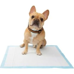 Wee-Wee Pad On Target Trainer & Frisco Premium Dog Training & Potty Pads -Frisco 303768 PT6. AC SS1800 V1623076052