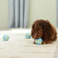 Frisco Easter Fetch Squeaky Tennis Ball Dog Toy, Medium, 3 Count -Frisco 304964 PT4. AC SS1800 V1703184745