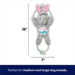 Frisco Easter Bunny Plush With Rope Squeaky Dog Toy -Frisco 304974 PT1. AC SS1800 V1700243716