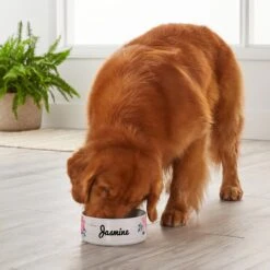 Frisco Personalized Rustic Ceramic Dog Bowl, 4.75-cup, 38oz 9 Frisco Personalized Rustic Ceramic Dog Bowl, 4.75-cup, 38oz -Frisco 306764 PT4. AC SS1800 V1639518092