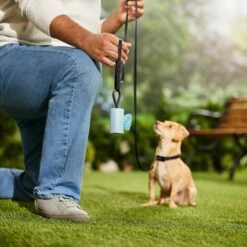 Frisco Dog Poop Bag Square Design Dispenser 14 Frisco Dog Poop Bag Square Design Dispenser -Frisco 309816 PT5. AC SS1800 V1670276147