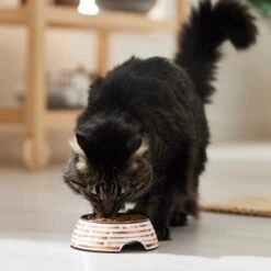 Frisco Copper Print Design Stainless Steel Dog & Cat Bowl 13 Frisco Copper Print Design Stainless Steel Dog & Cat Bowl -Frisco 311975 PT3. AC SS1800 V1642542357