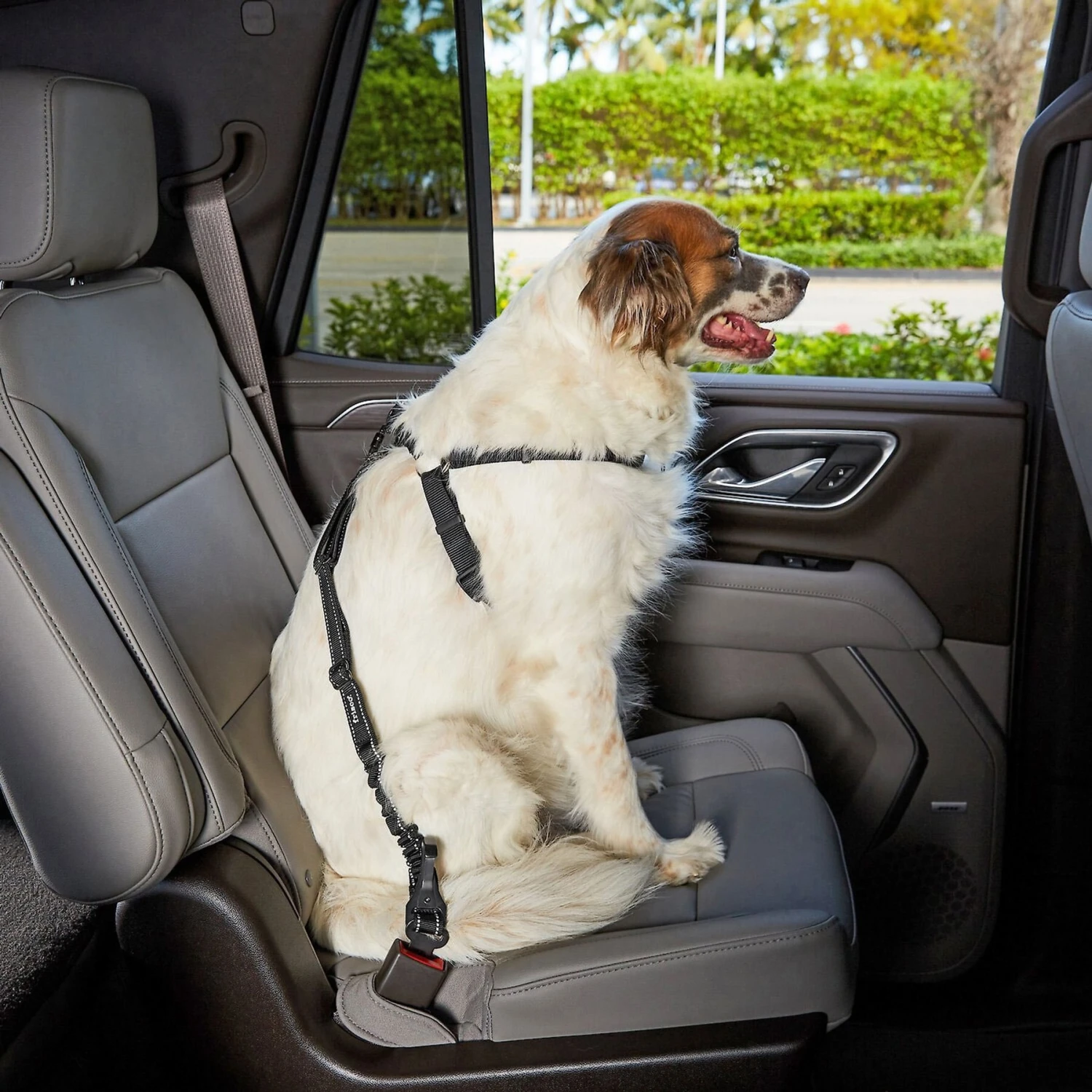 Frisco Adjustable Dog Seatbelt Tether & Frisco Quilted Water Resistant Bench Car Seat Cover 6 Frisco Adjustable Dog Seatbelt Tether & Frisco Quilted Water Resistant Bench Car Seat Cover - Image 4