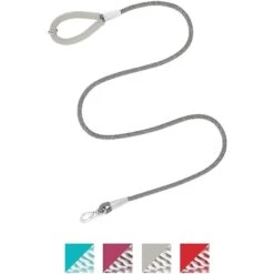 Frisco Outdoor Ultra Reflective Nylon Dog Collar & Frisco Outdoor Ultra Reflective Rope Leash With Padded Handle -Frisco 319102 PT5. AC SS1800 V1631149585