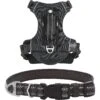 Frisco Outdoor Premium Ripstop Nylon Dog Harness With Pocket & Frisco Outdoor Nylon Reflective Comfort Padded Dog Collar 1 Frisco Outdoor Premium Ripstop Nylon Dog Harness With Pocket & Frisco Outdoor Nylon Reflective Comfort Padded Dog Collar -Frisco 319304 MAIN. AC SS1800 V1631144496