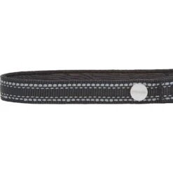 Frisco Outdoor Premium Ripstop Nylon Dog Harness With Pocket & Frisco Outdoor Nylon Reflective Comfort Padded Dog Collar -Frisco 319304 PT6. AC SS1800 V1631158591