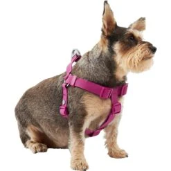 Frisco Outdoor Solid Textured Waterproof Stink Proof PVC Dog Harness & Frisco Outdoor Solid Textured Waterproof Stink Proof PVC Dog Leash -Frisco 319356 PT2. AC SS1800 V1631150788