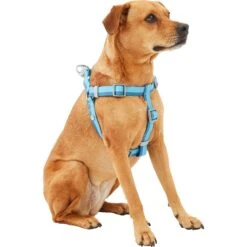 Frisco Outdoor Two Tone Waterproof Stinkproof PVC Dog Harness & Frisco Outdoor Two Tone Waterproof Stinkproof PVC Dog Harness 10 Frisco Outdoor Two Tone Waterproof Stinkproof PVC Dog Harness & Frisco Outdoor Two Tone Waterproof Stinkproof PVC Dog Harness -Frisco 319396 PT2. AC SS1800 V1630624884
