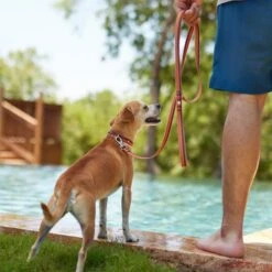 Frisco Outdoor Two Toned Waterproof Stink Proof PVC Dog Leash & Frisco Outdoor Two Tone Waterproof Stinkproof PVC Dog Harness -Frisco 319448 PT3. AC SS1800 V1631149877