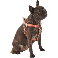 Frisco Outdoor Two Toned Waterproof Stink Proof PVC Dog Leash & Frisco Outdoor Two Tone Waterproof Stinkproof PVC Dog Harness -Frisco 319448 PT5. AC SS1800 V1631146290
