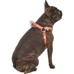 Frisco Outdoor Two Toned Waterproof Stink Proof PVC Dog Leash & Frisco Outdoor Two Tone Waterproof Stinkproof PVC Dog Harness -Frisco 319448 PT6. AC SS1800 V1631152279