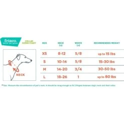 Frisco Outdoor Woven Jacquard Nylon Dog Collar & Frisco Outdoor Waterproof Stinkproof PVC Rope Leash -Frisco 319466 PT3. AC SS1800 V1631118401