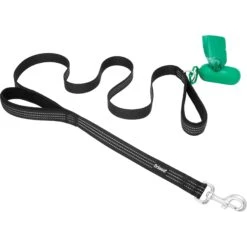 Frisco Traffic Leash With Padded Handles & Poop Bag Dispenser & Frisco Refill Dog Poop Bags Made With 50% Recycled Packaging -Frisco 319512 PT5. AC SS1800 V1683212082