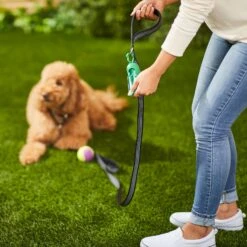 Frisco Traffic Leash With Padded Handles & Poop Bag Dispenser & Frisco Refill Dog Poop Bags Made With 50% Recycled Packaging -Frisco 319512 PT8. AC SS1800 V1683212087