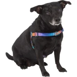 Frisco Purple Ombre Style Dog Harness 9 Frisco Purple Ombre Style Dog Harness -Frisco 324526 PT2. AC SS1800 V1642519692