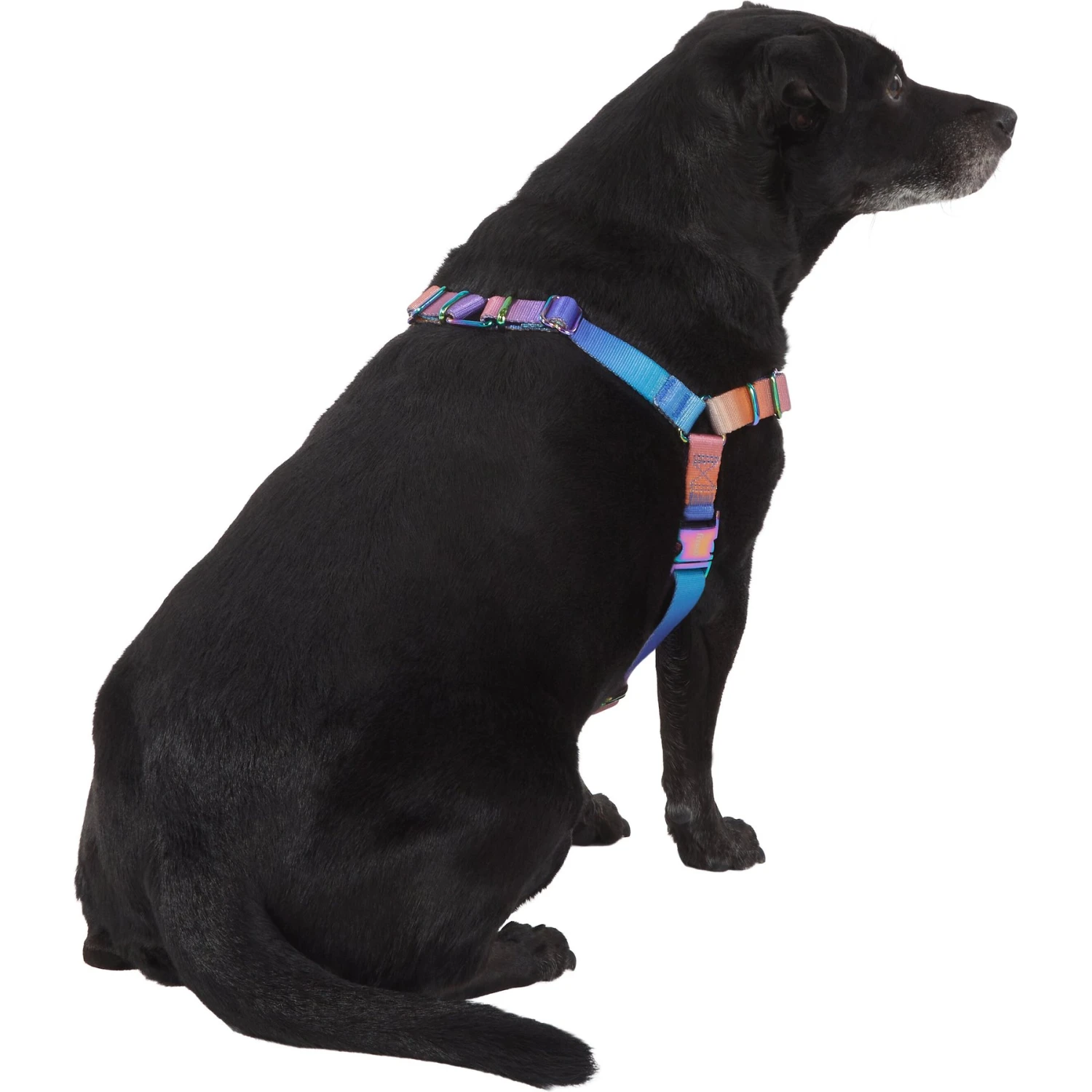 Frisco Purple Ombre Style Dog Harness 6 Frisco Purple Ombre Style Dog Harness - Image 4