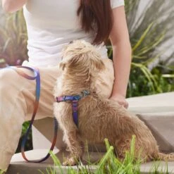 Frisco Purple Ombre Style Dog Harness 11 Frisco Purple Ombre Style Dog Harness -Frisco 324526 PT4. AC SS1800 V1642518470