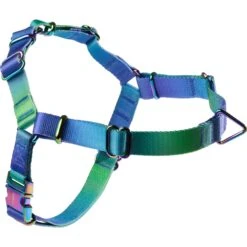 Frisco Green Ombre Style Dog Harness