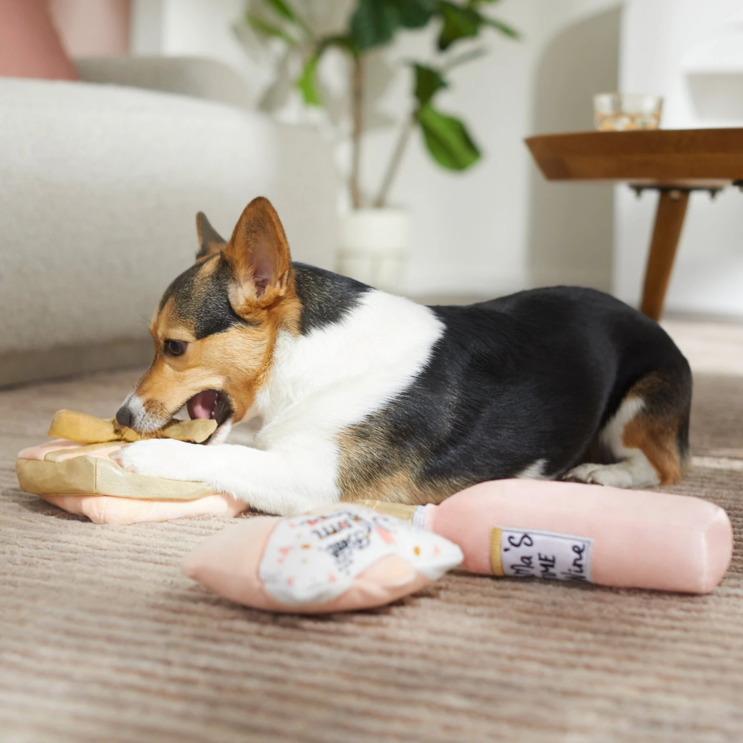 Frisco Mother's Day Gifts Plush Squeaky Dog Toy, 3 Count 5 Frisco Mother's Day Gifts Plush Squeaky Dog Toy, 3 Count - Image 3