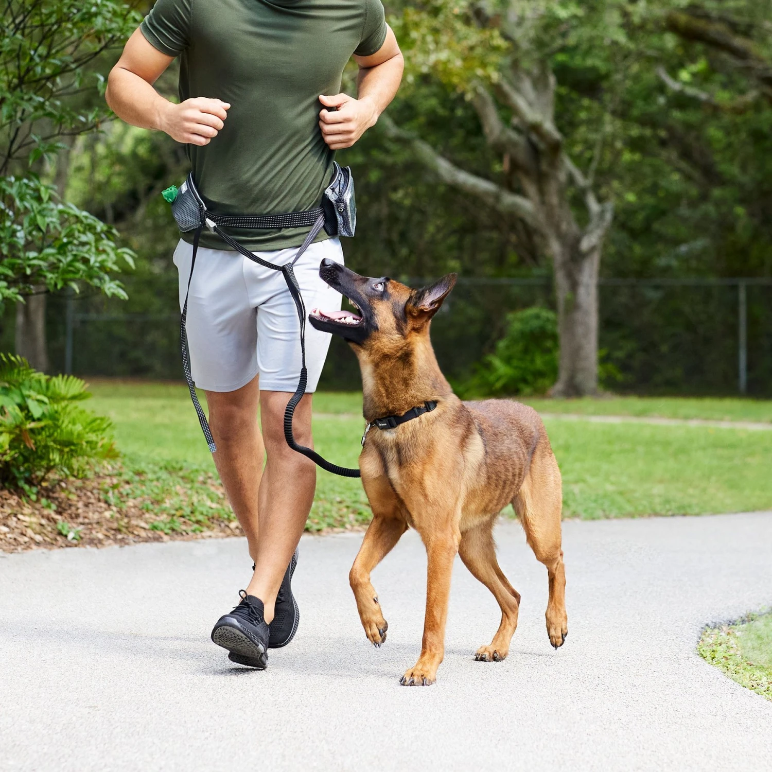 Frisco Outdoor Running Belt With Bungee Dog Leash 8 Frisco Outdoor Running Belt With Bungee Dog Leash - Image 6