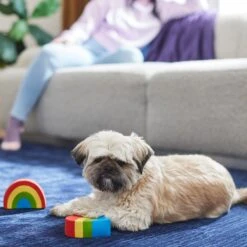 Frisco Pride Rainbow & Heart Latex Squeaky Dog Toy, 2 Count 7 Frisco Pride Rainbow & Heart Latex Squeaky Dog Toy, 2 Count -Frisco 331632 PT3. AC SS1800 V1647355825