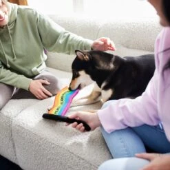 Frisco Pride Flag Flat Squeaky Dog Toy 7 Frisco Pride Flag Flat Squeaky Dog Toy -Frisco 331640 PT3. AC SS1800 V1647355852