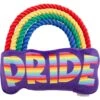 Frisco Pride Rainbow Plush With Rope Squeaky Dog Toy -Frisco 331653 MAIN. AC SS1800 V1649086609