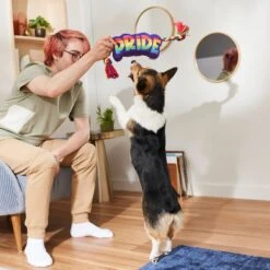 Frisco Pride Plush With Rope Squeaky Dog Toy -Frisco 331661 PT3. AC SS1800 V1647356002