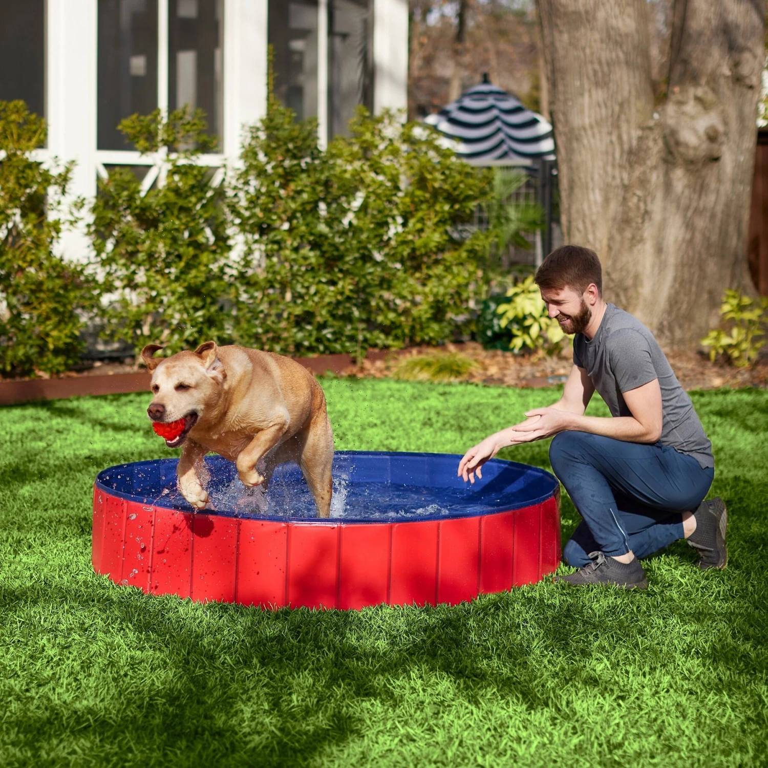 Frisco Outdoor Dog Swimming Pool, Red 3 Frisco Outdoor Dog Swimming Pool, Red