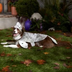 Frisco Seal Dog & Cat Costume 14 Frisco Seal Dog & Cat Costume -Frisco 334983 PT7. AC SS1800 V1657730462