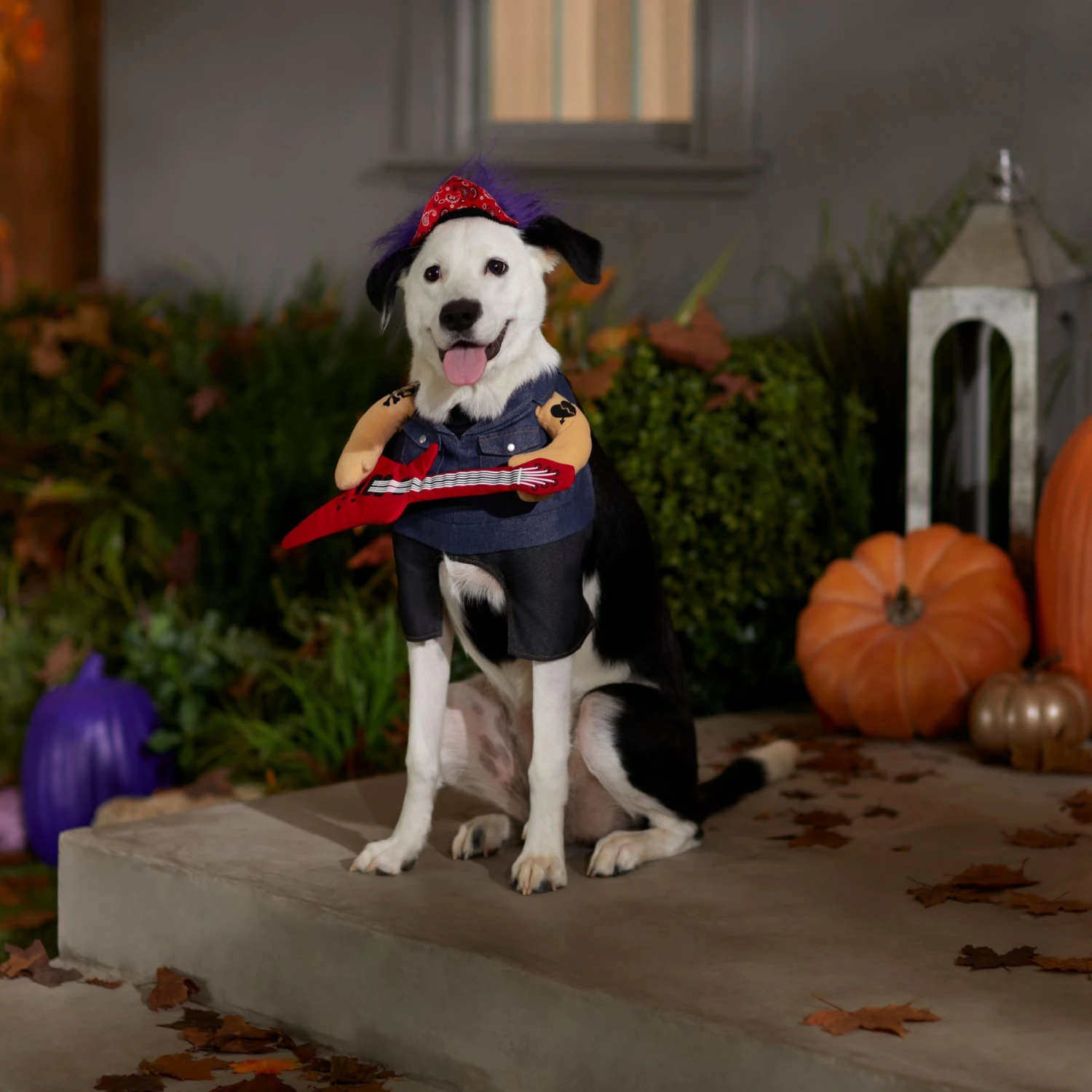 Frisco Front Walking Punk Rocker Dog & Cat Costume 9 Frisco Front Walking Punk Rocker Dog & Cat Costume - Image 7